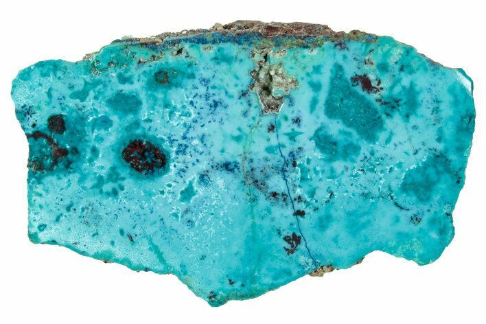 Vibrant Chrysocolla and Shattuckite Section - Mexico #348766